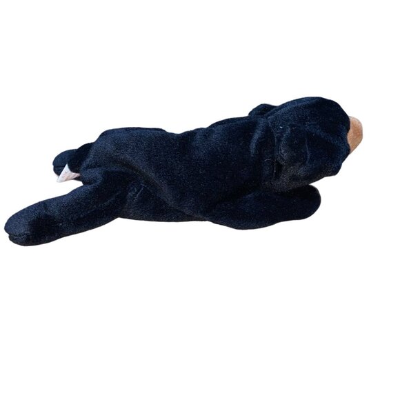 Ty Beanie Babies Blackie Bear Plush Stuffed Animal Hang 4th Gen Tush 4th Gen Tag - Picture 4 of 10